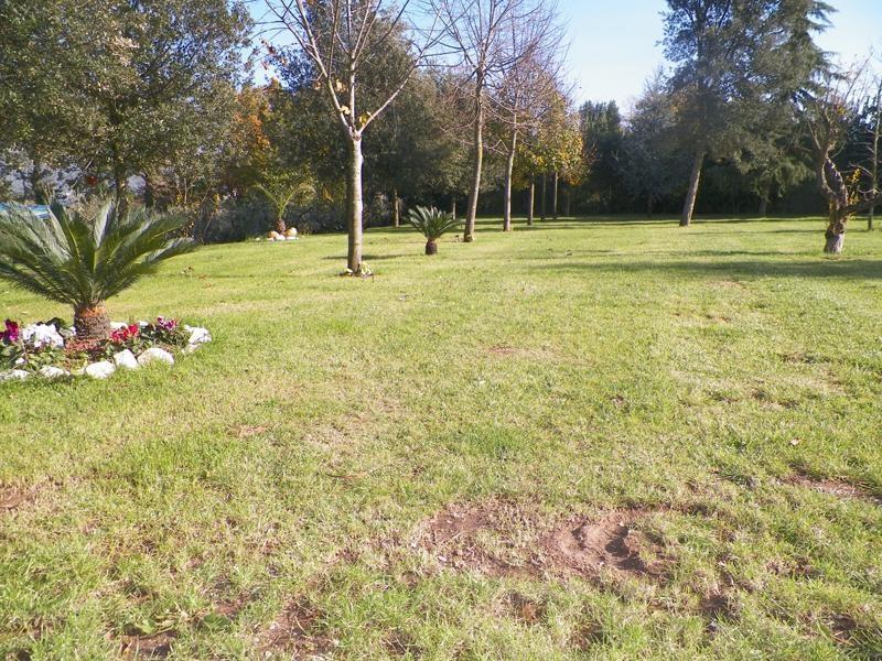 Tenuta Terra Tefra Villa Conca della Campania Exterior photo